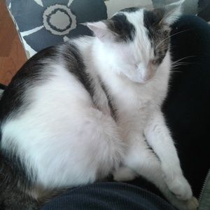 Meet your Posher, Craig